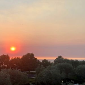 Meet your Posher, Lynn